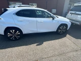 * LEXUS UX250h *MZAH10-2114346* Доставлен с аукциона, ожидает отправку, приход Владивосток сентябрь 11