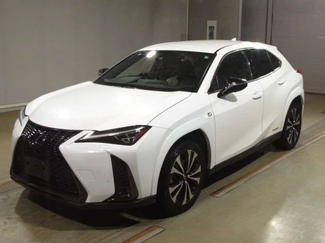 * LEXUS UX250h *MZAH10-2114346* Доставлен с аукциона, ожидает отправку, приход Владивосток сентябрь