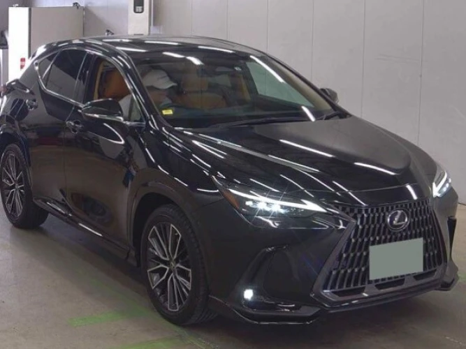 * LEXUS NX450h+ * Доставлен с аукциона, ожидает отправку, приход Владивосток сентябрь
