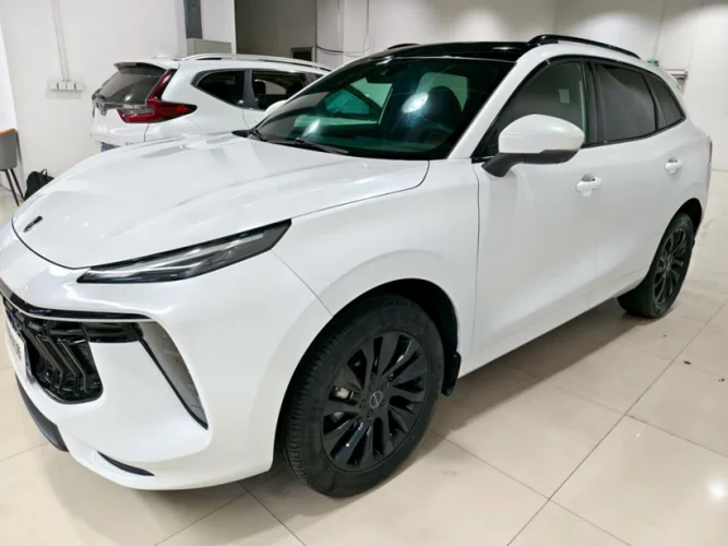 * Вручён в Томске * FORTHING T5 EVO * LMXA14AFXLZ446596 *