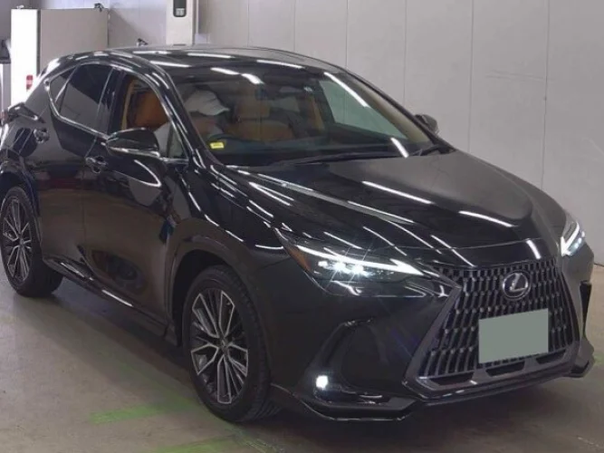 * LEXUS NX450h+ * Доставлен с аукциона, ожидает отправку, приход Владивосток сентябрь