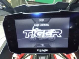 Продаётся в пути ! / TRIUMPH TIGER 900GT PRO ! 10